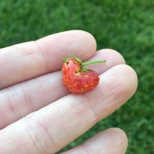 Meet your Posher, Marie!